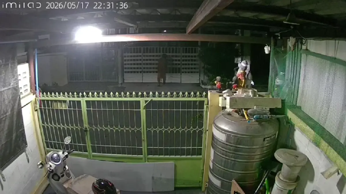 ป้านกพิราบเมินคำสั่งศาลปีนรั้วพังบ้านเพื่อนบ้านรอบ 3