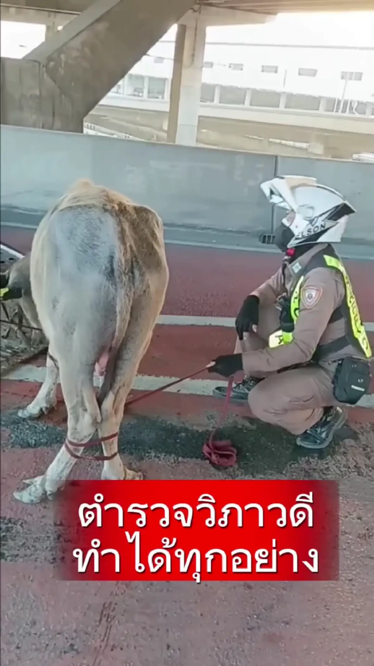 ภาพ @จ่าไม่เฉย แกไม่รอดแน่