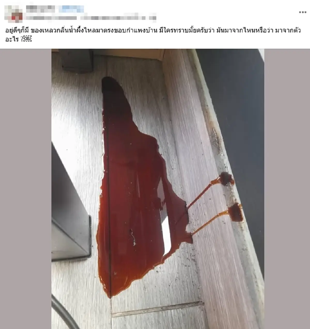ตกใจ! เจอคราบปริศนาไหลย้อยจากกำแพง ก่อนรู้ความจริงว่านี่ของดี!