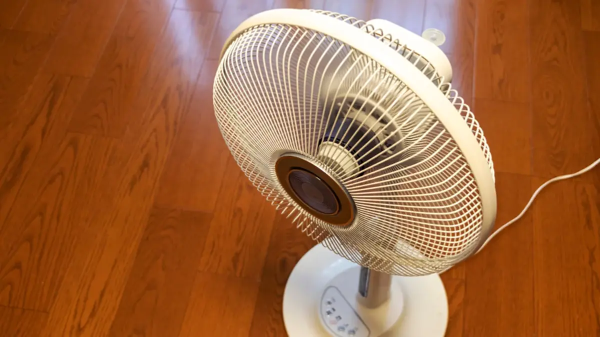 ล้างพัดลมไม่ต้องถอดตะแกรง! วิธีง่ายจากของในครัว ประหยัดเวลา 