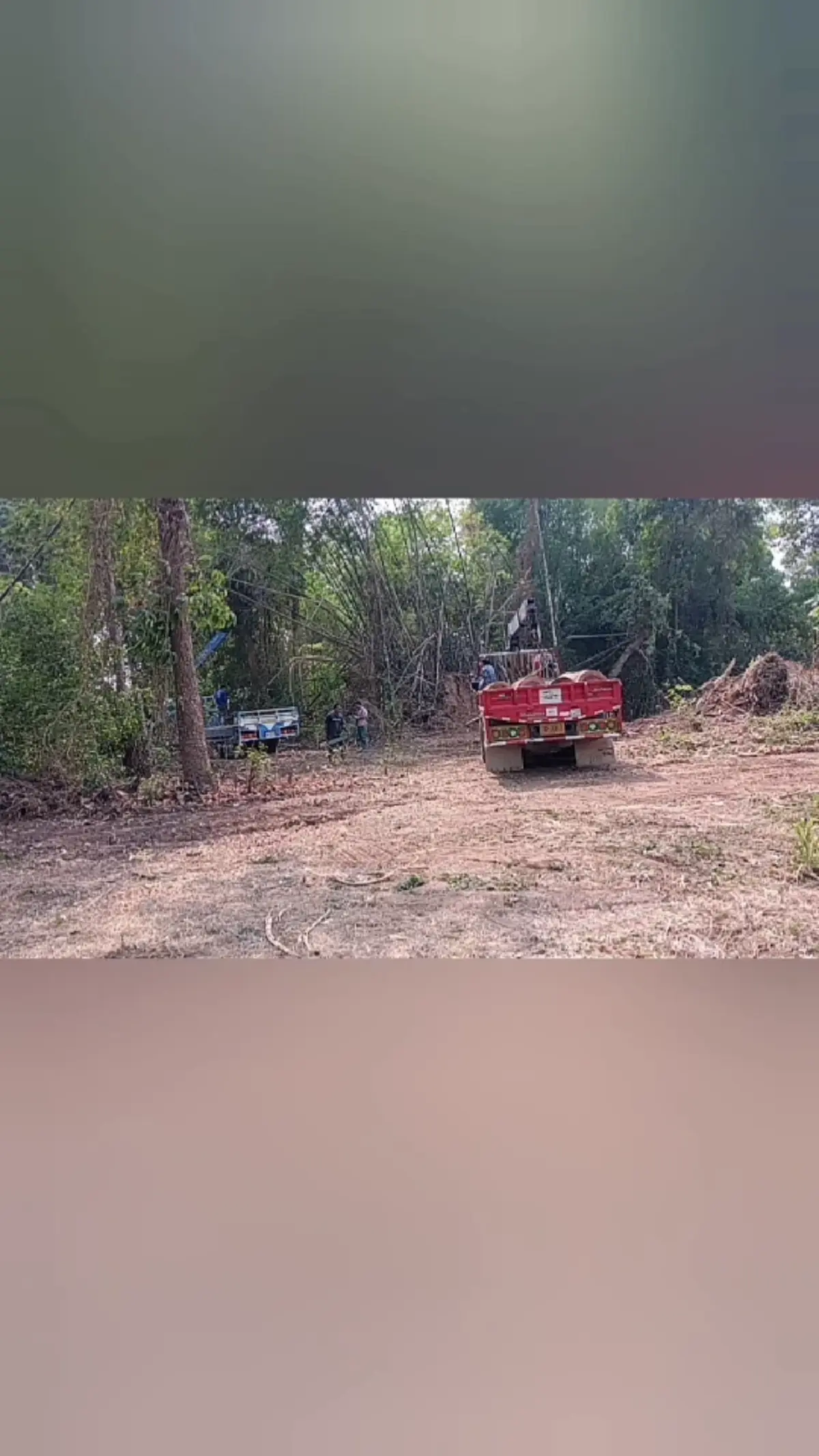 ชาวบ้านชัยภูมิแฉมอดไม้เอี่ยวรัฐ ไหวตัวหนีทันหลังป่าไม้เพิกเฉย
