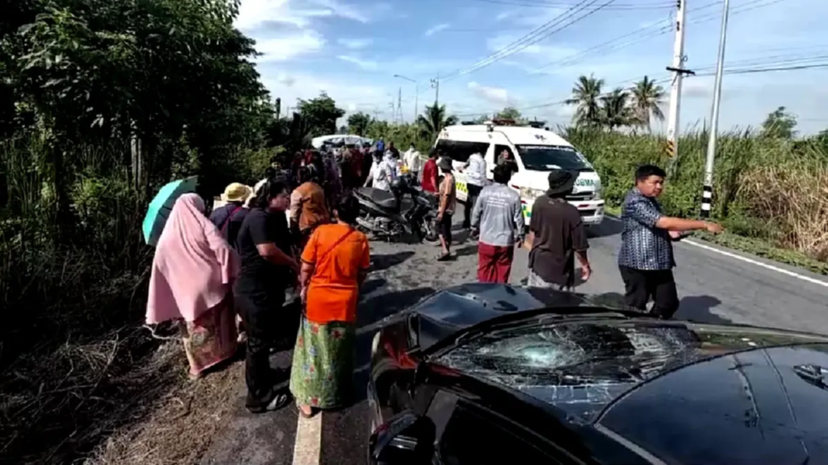 ลุงจอดซาเล้งให้เต่าข้ามถนน ก๋งเบรกไม่ทันพุ่งชนเจ็บ 3