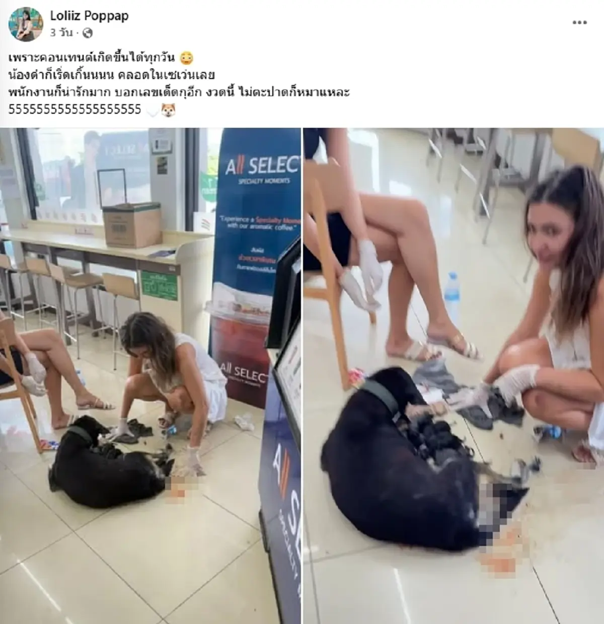 ฮือฮา "หมาดำ" คลอดลูกกลาง 7-11 ชาวเน็ตโฟกัสตัวเลขทันที