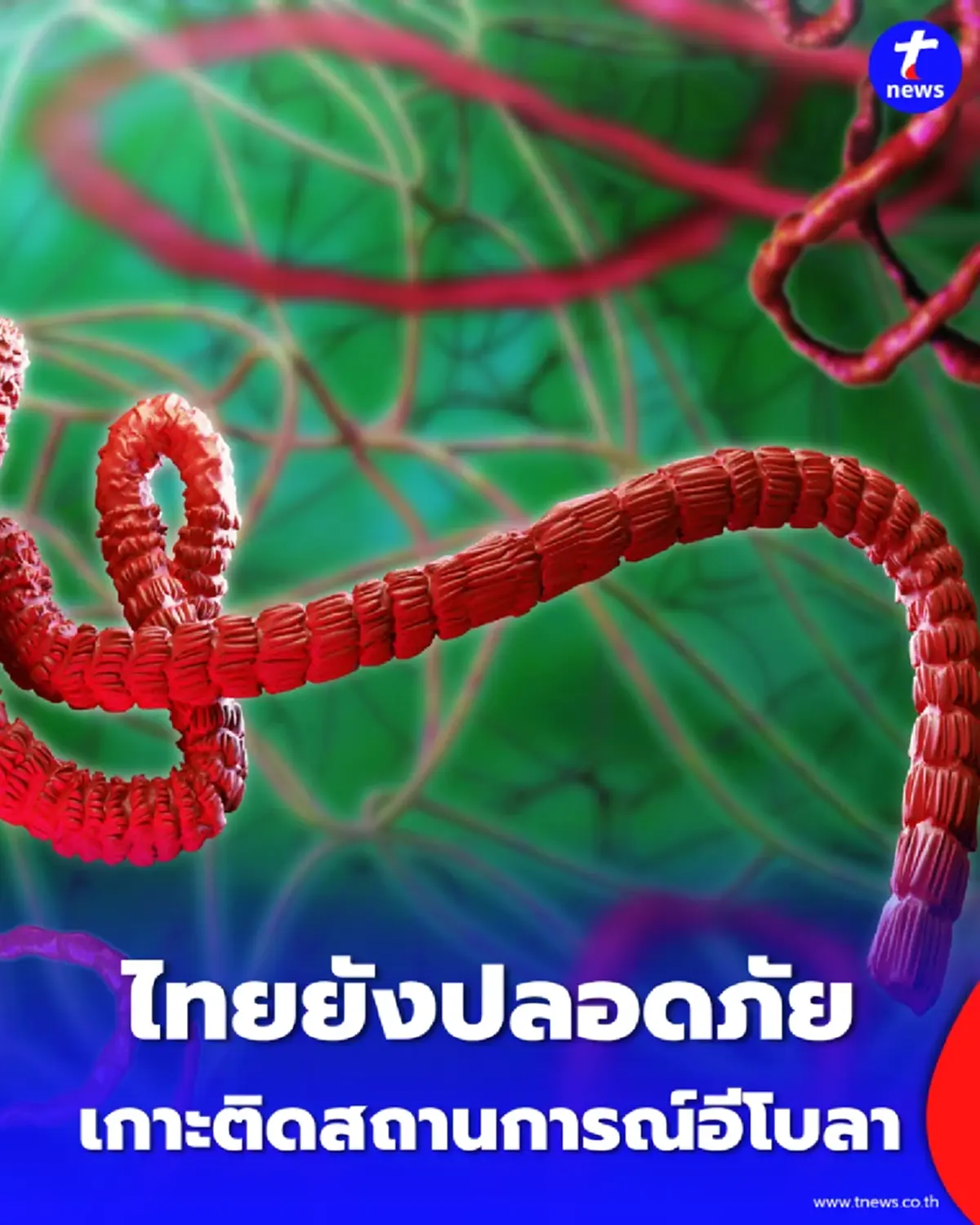 รัฐบาลกำชับ สธ. ติดตามใกล้ชิด อีโบลา ย้ำไทยยังปลอดภัย ไม่มีผู้ติดเชื้อ