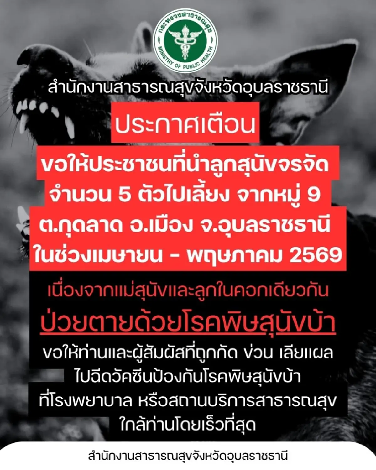 ด่วน! ประกาศตามหาเจ้าของลูกสุนัข 5 ตัว หลังพบติดพิษสุนัขบ้า