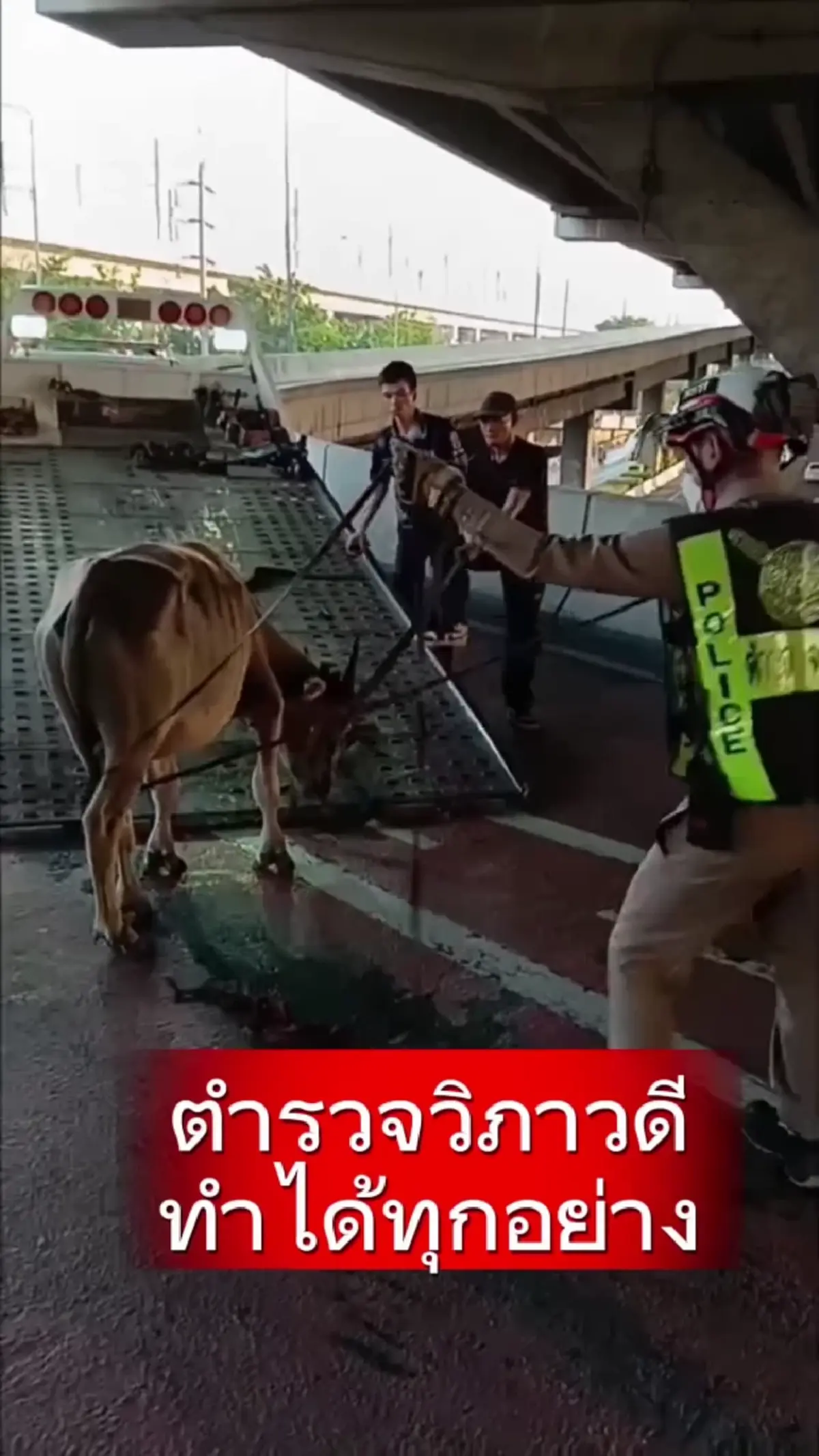 ภาพ @จ่าไม่เฉย แกไม่รอดแน่