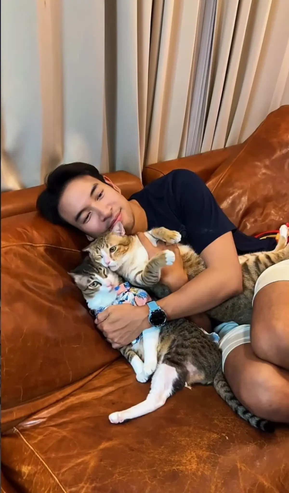 เปิดวาร์ป 8 ดาราชายแถวหน้าโหมดพ่อแมวสุดละมุนทำแฟนคลับใจเหลว