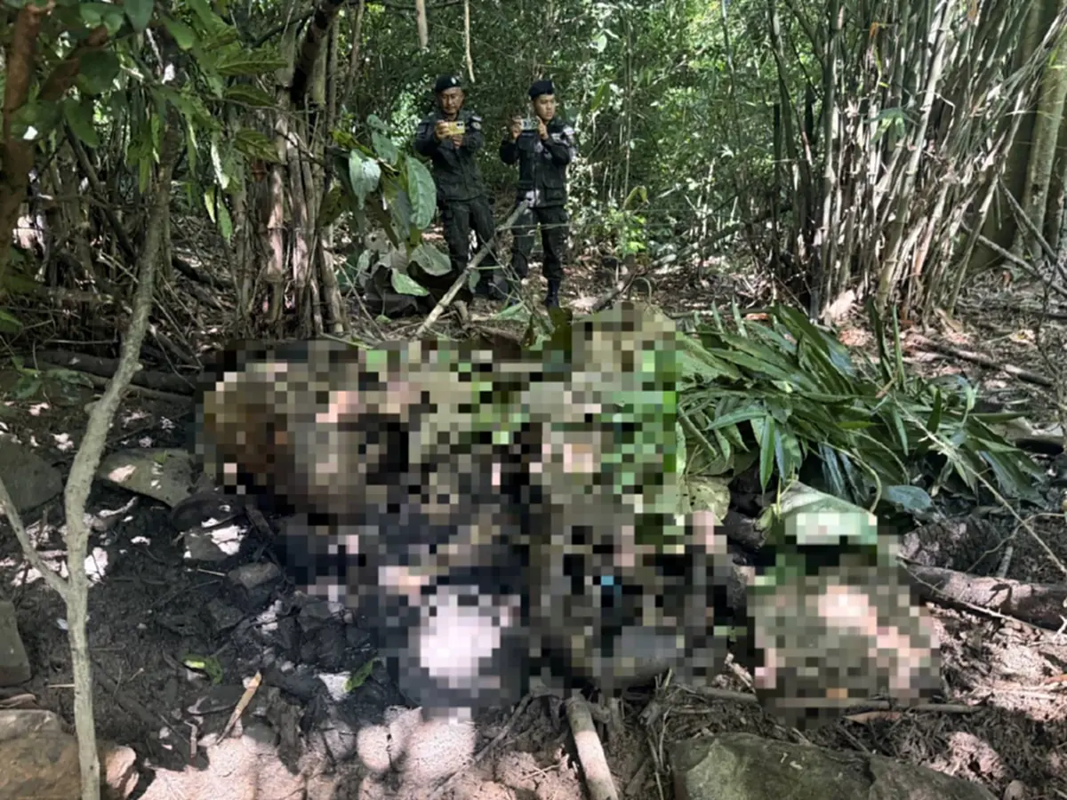 ภาพ @กรมอุทยานแห่งชาติ สัตว์ป่า และพันธุ์พืช