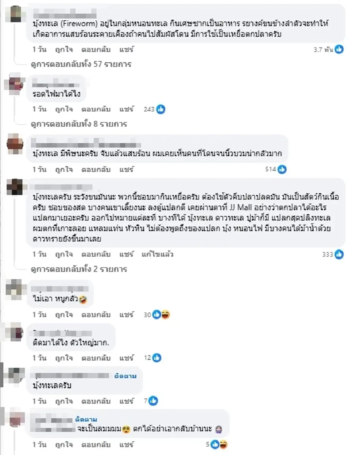 รู้แล้วตัวอะไร หนุ่มสงสัยตัวปริศนามากับกุ้ง เตือนมีพิษห้ามจับ