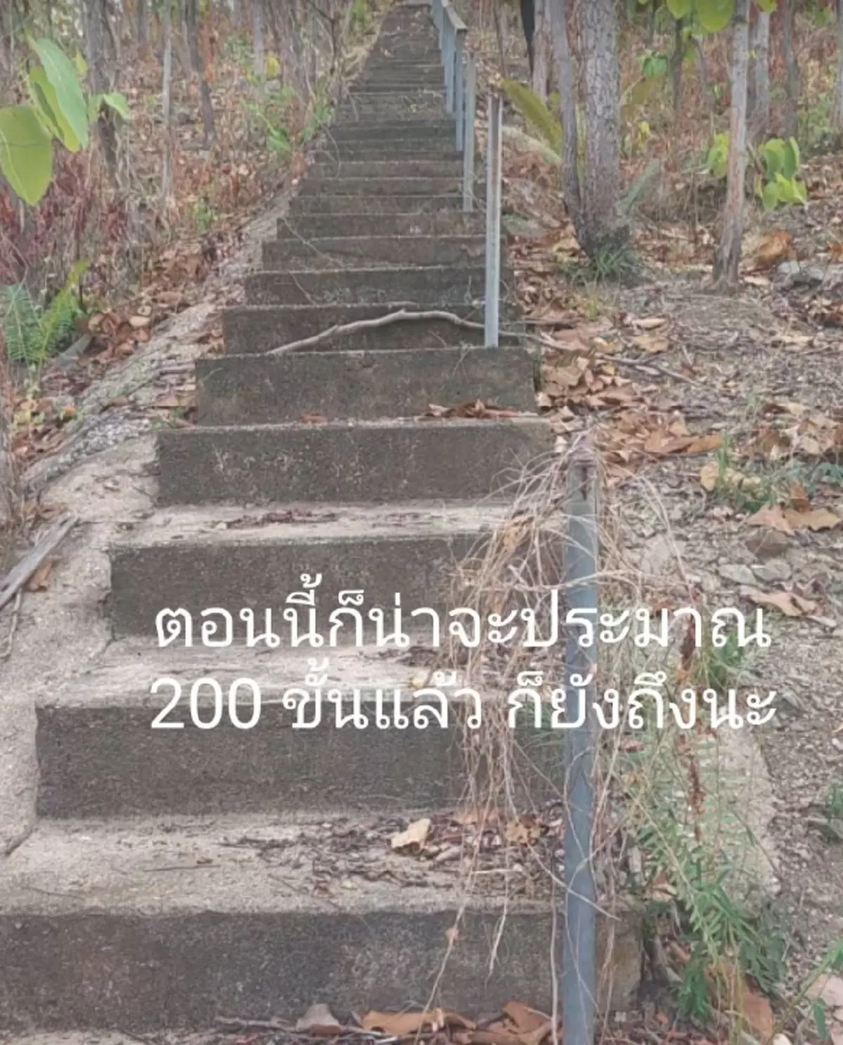 สาวบังเอิญเจอ ความลับหลังบ้านร้าง แอบซ่อนตัวอยู่หลายปี