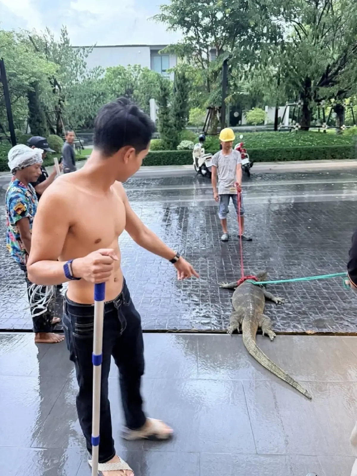 แห่ส่องเลขบ้าน "เจนนี่ - ยิว"หลังตัวเงินตัวทองยักษ์บุก