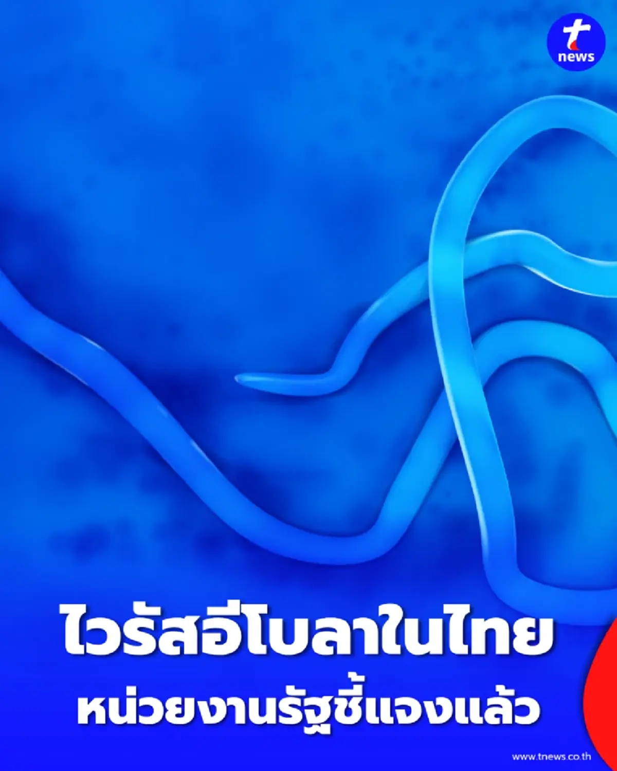 สรุปปมข่าว ไวรัสอีโบลา ในไทย ล่าสุดหน่วยงานรัฐชี้แจงแล้ว