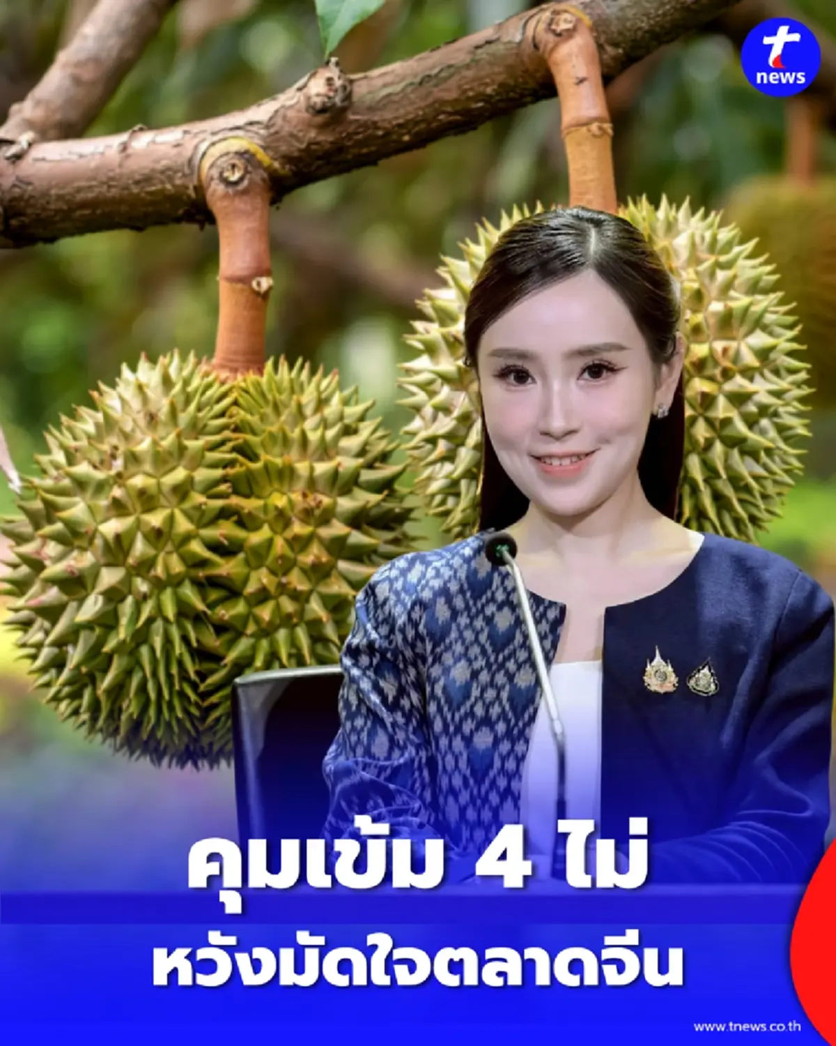 ยกระดับทุเรียนไทยส่งออก คุมเข้มเกณฑ์ 4 ไม่ มุ่งเป้าแสนห้าหมื่นล้าน