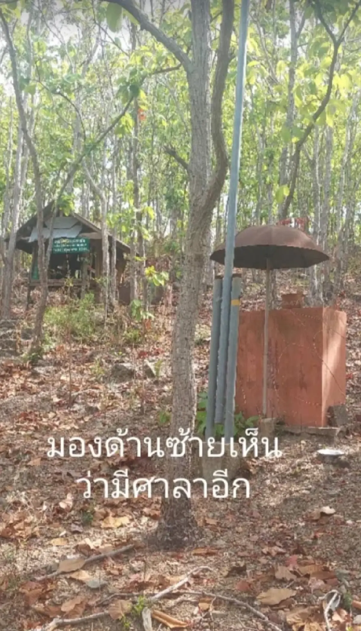 สาวบังเอิญเจอ ความลับหลังบ้านร้าง แอบซ่อนตัวอยู่หลายปี