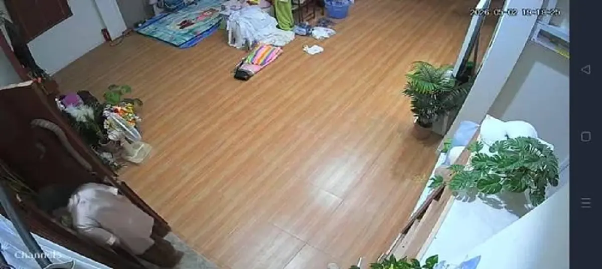 เลขที่บ้านคุณยายเกือบโดนงูฉก รู้ว่าเป็นสายพันธุ์ไหน ยิ่งขนลุก