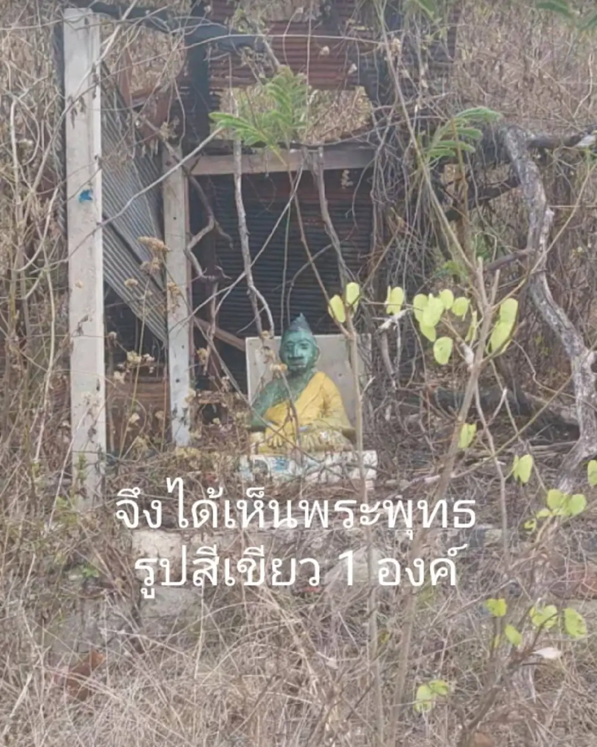 สาวบังเอิญเจอ ความลับหลังบ้านร้าง แอบซ่อนตัวอยู่หลายปี