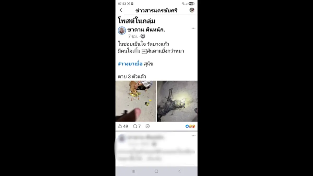 สุดสลด! วางยาเบื่อหมาดับสลด 5 ตัวรวด เจ้าของลั่นมีอะไรก็มาคุยกัน