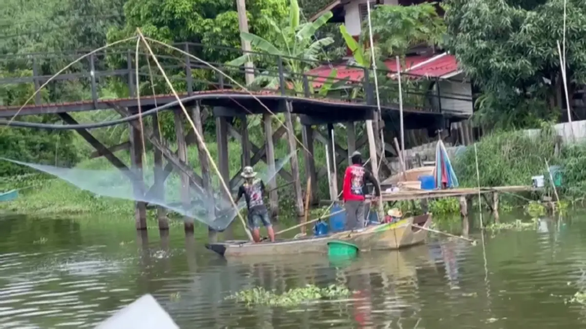 ผู้ว่าฯ แปดริ้ว นำทีมจับปลาหมอคางดำ ล้างบางเอเลี่ยนสปีชีส์