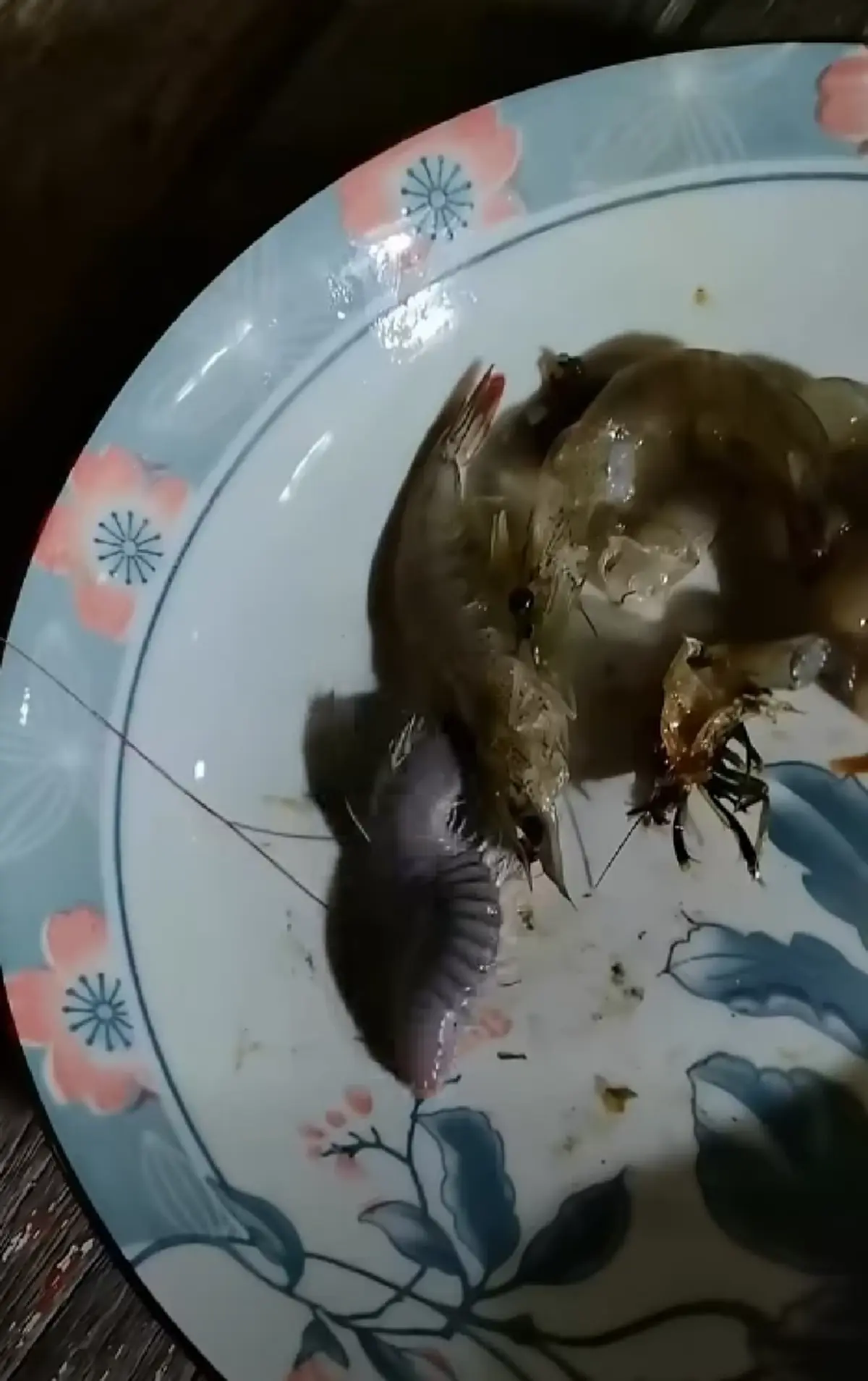 รู้แล้วตัวอะไร หนุ่มสงสัยตัวปริศนามากับกุ้ง เตือนมีพิษห้ามจับ