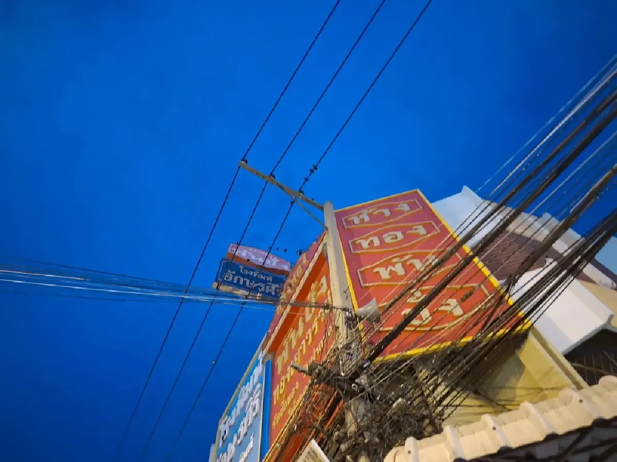 ฝูงนกเอี้ยงยึดอ่างทอง ขี้ตกใส่รถ-ร้านค้า ส่งเสียงเจี๊ยวจ๊าว