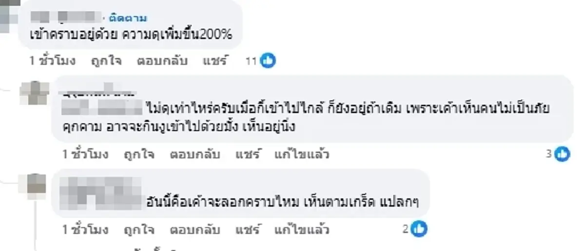 ​เจอเต็มตา งูจงอางยักษ์คาดยาว  4 เมตร เจ้าของโพสต์เผยนาทียืนจ้อง