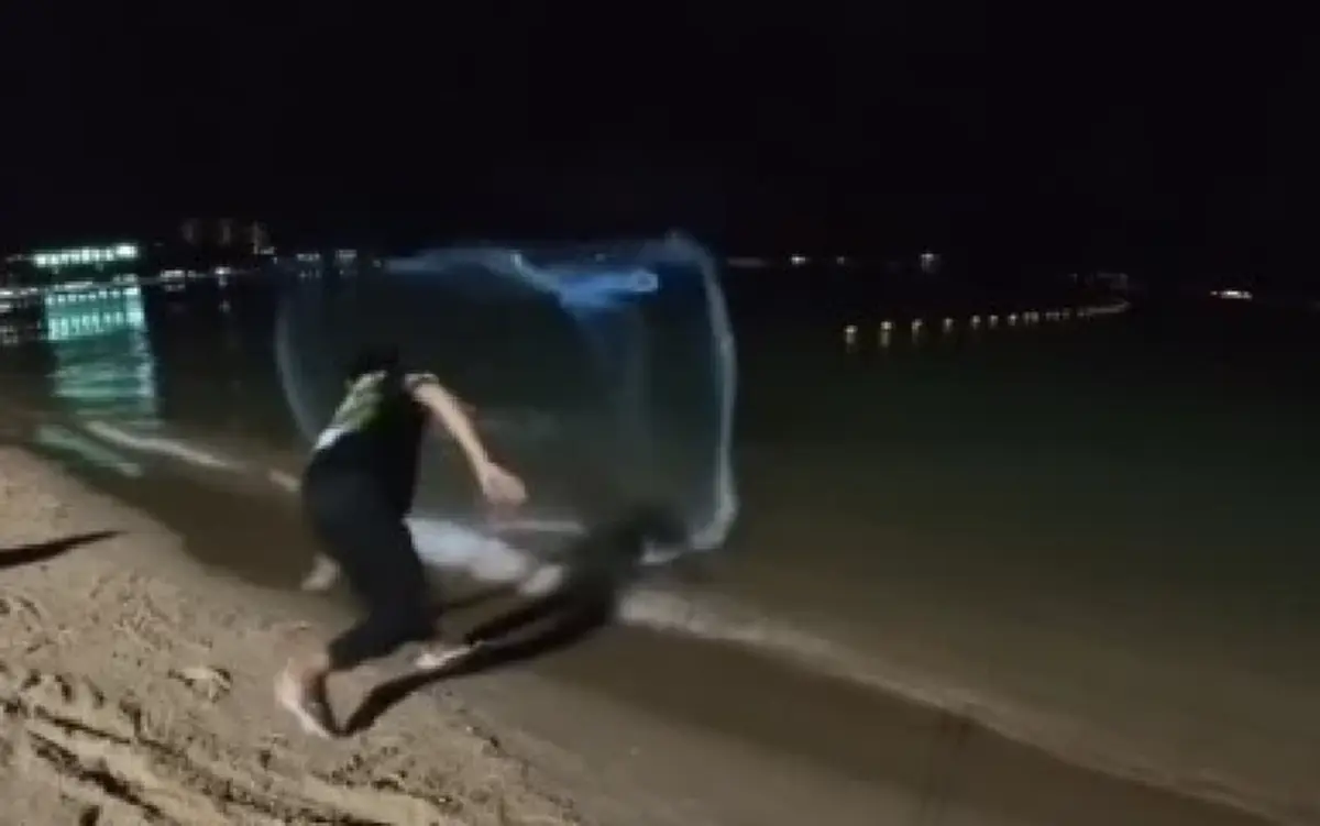 พัทยางง! ปลาหมอคางดำบุกชายหาด หวั่นทำลายสัตว์น้ำท้องถิ่น