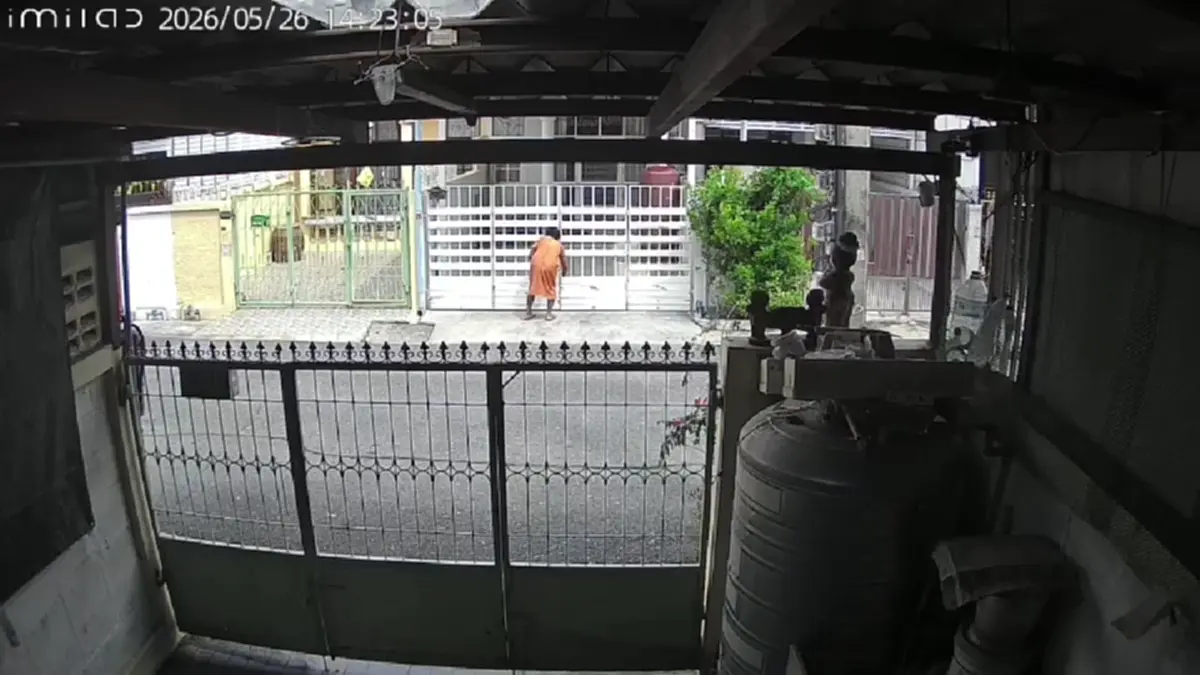 ป้านกพิราบเมินคำสั่งศาลปีนรั้วพังบ้านเพื่อนบ้านรอบ 3
