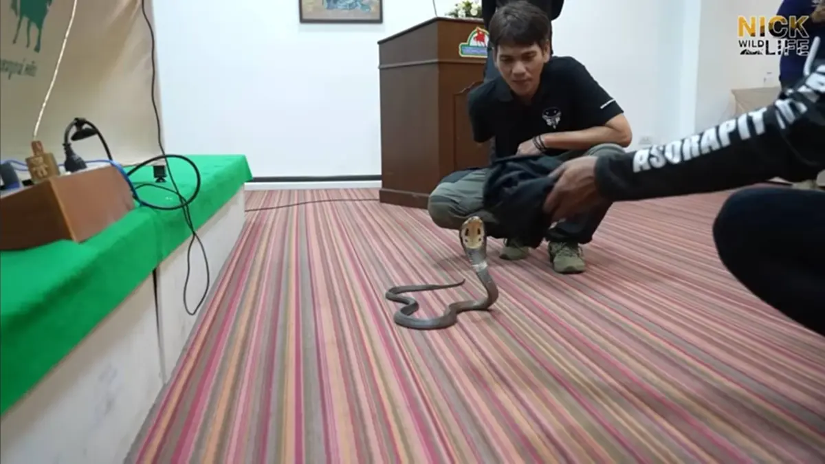 จำได้ไหม "อั๋น อสรพิษวิทยา" เปิดอาการล่าสุด หลังถูกงูจงอางกัด