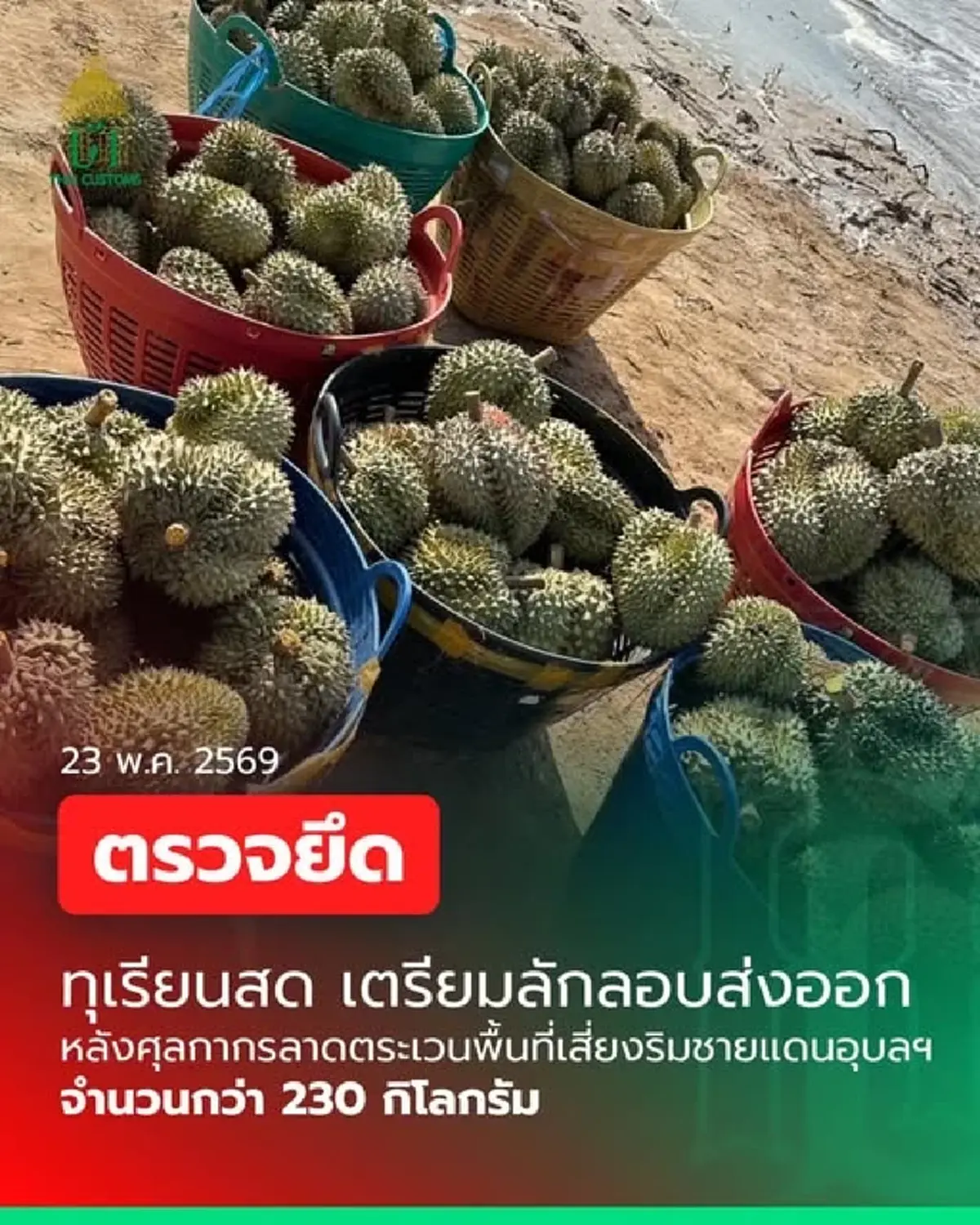 กรมศุลกากรยึดทุเรียนสด 230 กิโลกรัม พยายามลักลอบส่งออก