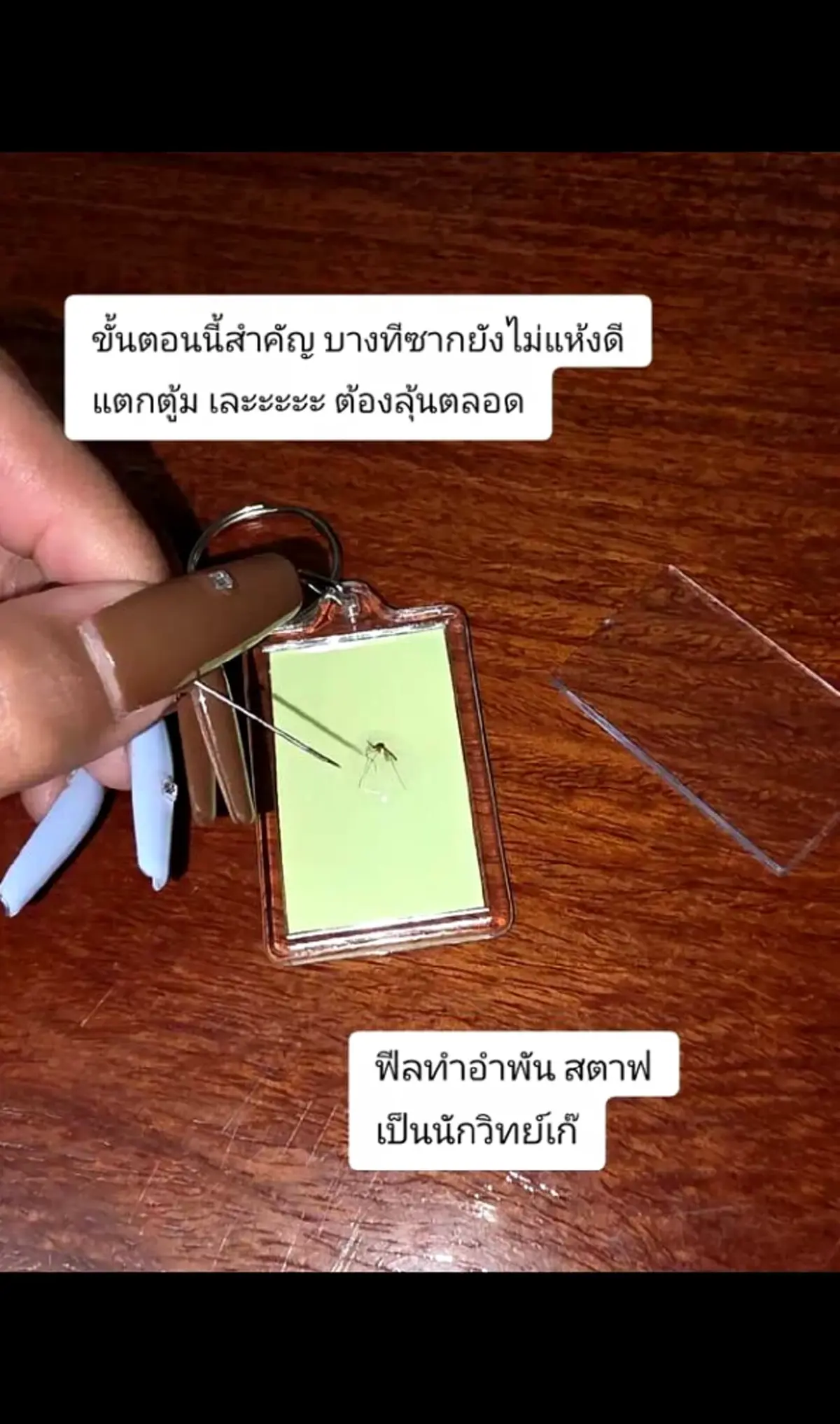 สาวไทยเปลี่ยน “ตบยุง” เป็นธุรกิจ ขายซากยุง รายได้หลักหมื่น