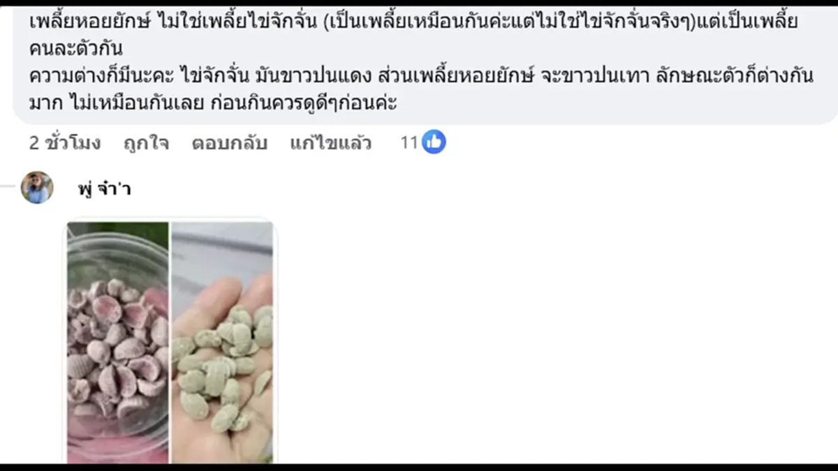 หามสาวส่งโรงพยาบาลเข้าใจผิดเพราะคิดว่ากิน ‘ไข่จักจั่น’