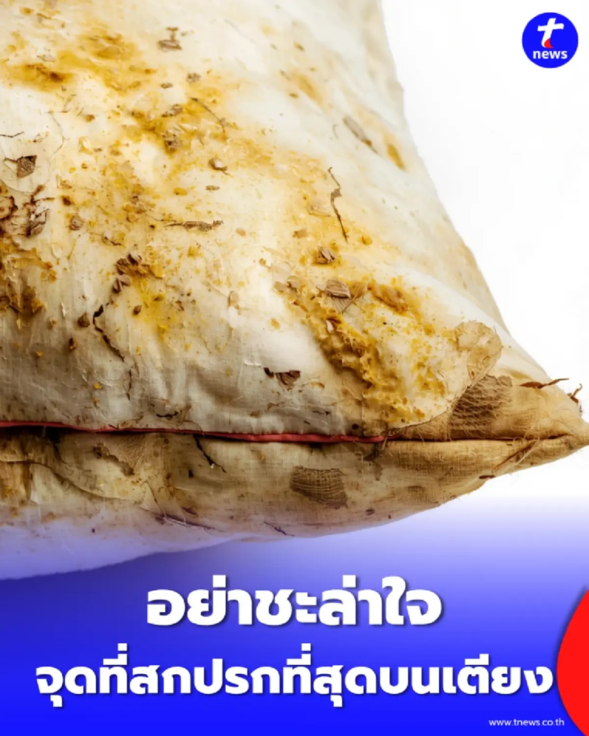 ระวังภูมิแพ้ แหล่งเพาะเชื้อ ในห้องนอนที่คนมักมองข้าม