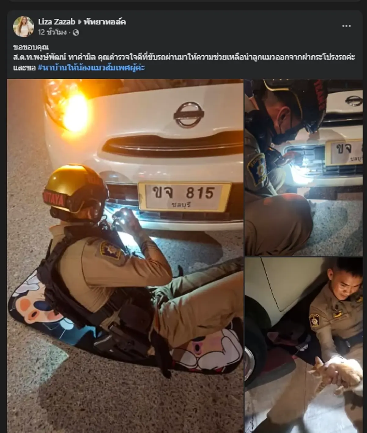 แห่ส่องทะเบียนเก๋ง ลูกแมวติดใต้ท้องรถกลางเมืองพัทยา