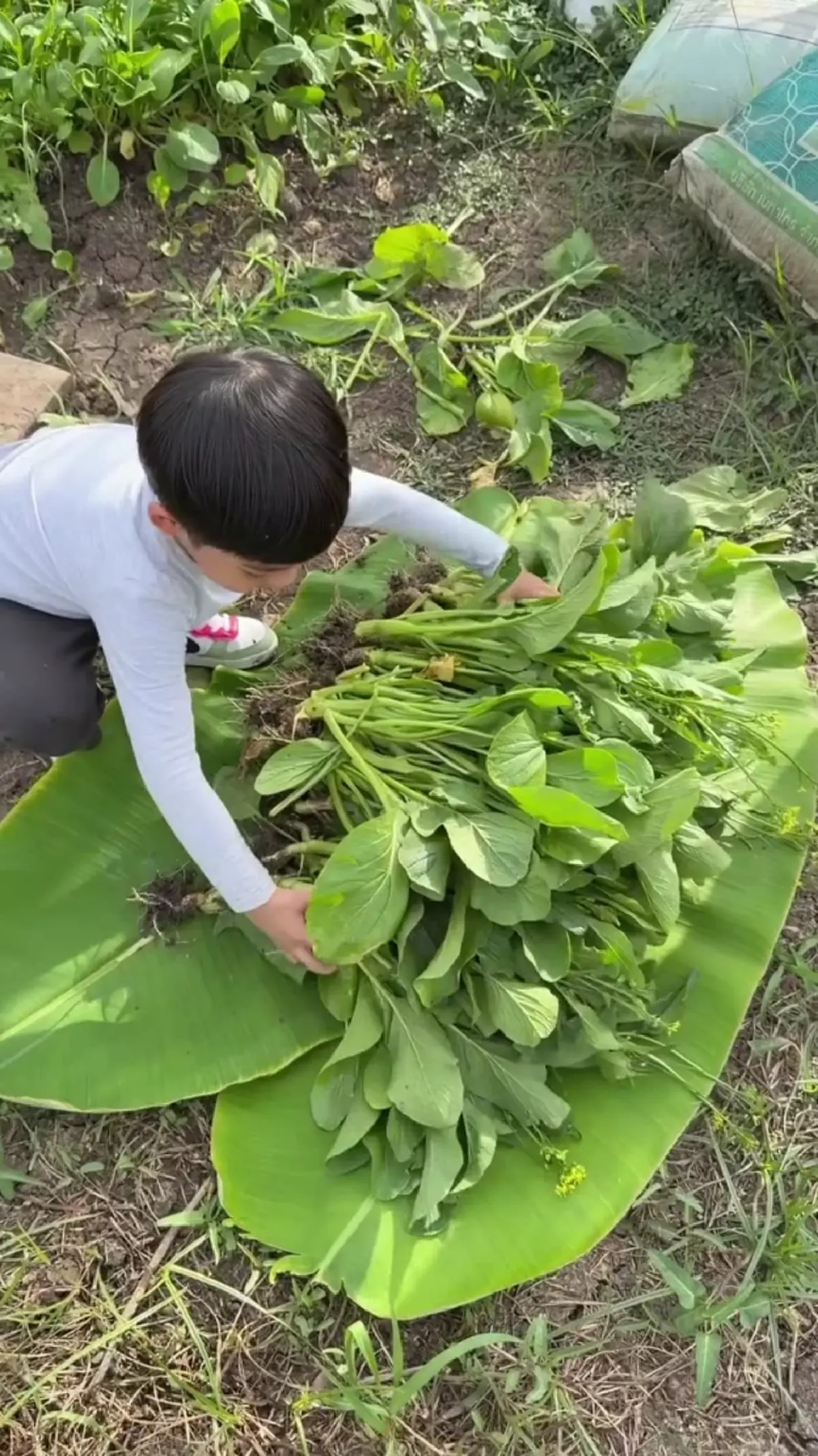  "พุฒ-จุ๋ย" พาลูกชาย "น้องพีร์เจ" แปลงโฉมเป็นชาวสวนตัวน้อย 