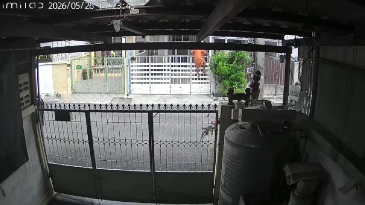 ป้านกพิราบเมินคำสั่งศาลปีนรั้วพังบ้านเพื่อนบ้านรอบ 3