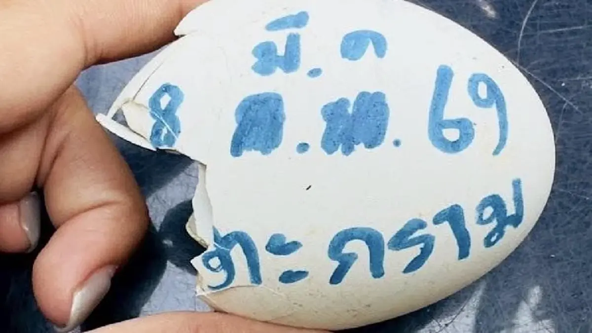 เปิดตัว ลูกนกตะกราม สมาชิกใหม่เขาเขียว สำเร็จครั้งประวัติศาสตร์