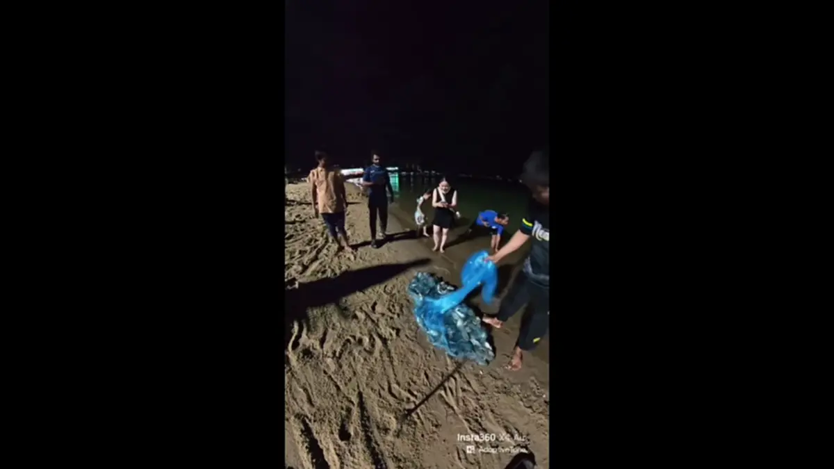 ประมงบางละมุงตรวจปลาหมอคางดำพัทยา ย้ำเจอให้ทำลายทันที