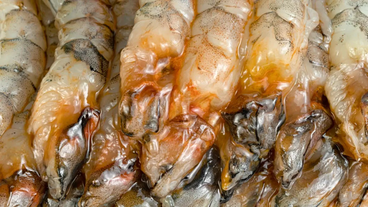 3 ส่วนของกุ้งที่ผู้เชี่ยวชาญแนะ “ไม่ควรกิน” เสี่ยงสะสมเชื้อโรค