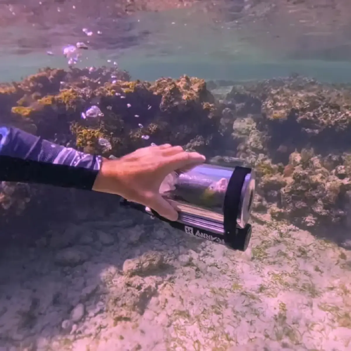 ไวรัลสนั่น หนุ่ม สร้างแคปซูลดำน้ำ พานกแก้วสุดรักชมปะการัง