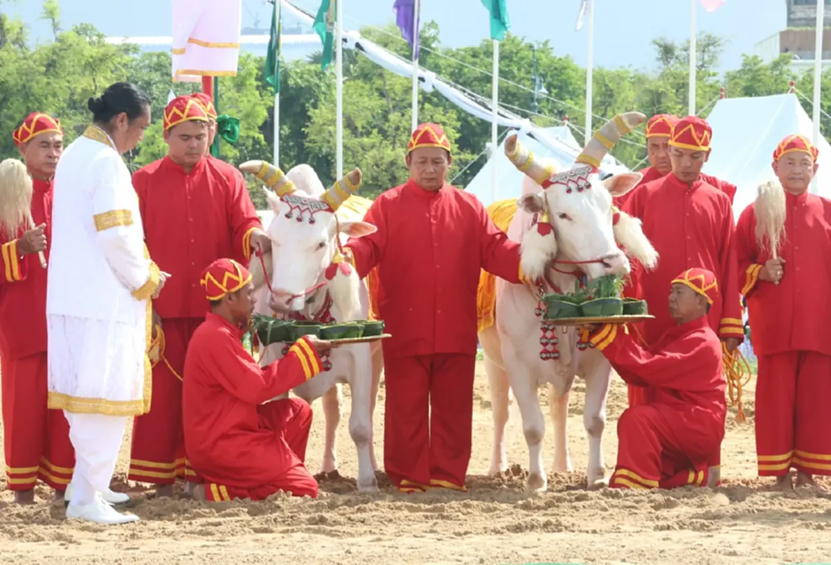 เลขมงคล วันพืชมงคล 2569 พระราชพิธีจรดพระนังคัลแรกนาขวัญ