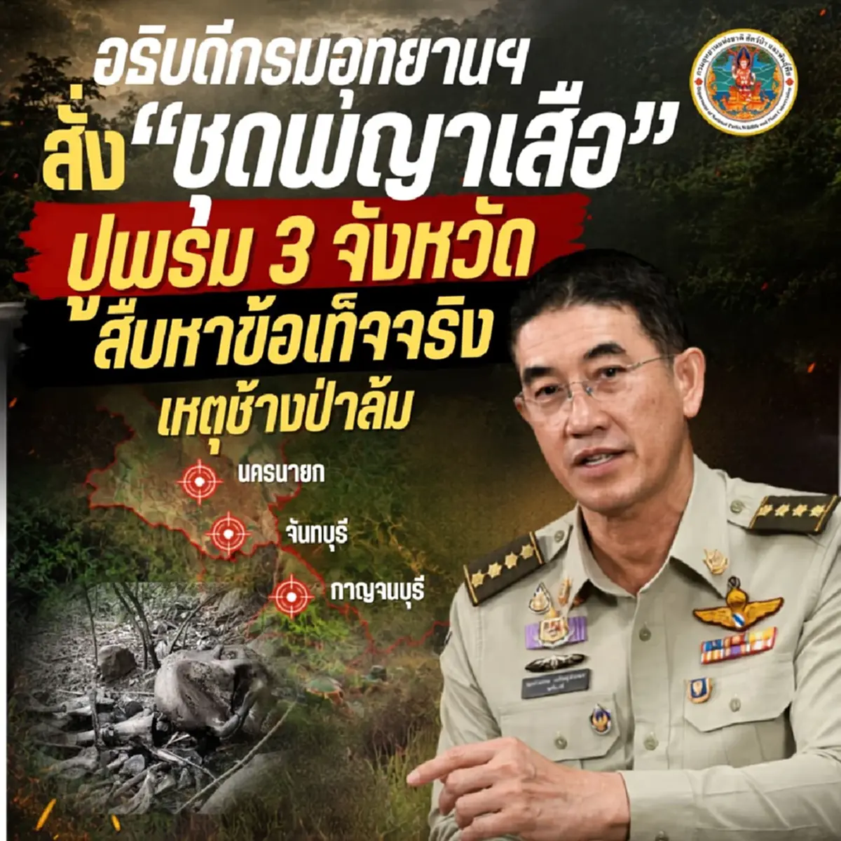 สะเทือนป่าไทย ช้างป่าล้ม 3 คดีติด เงื่อนงำแต่ละจุดยิ่งหดหู่