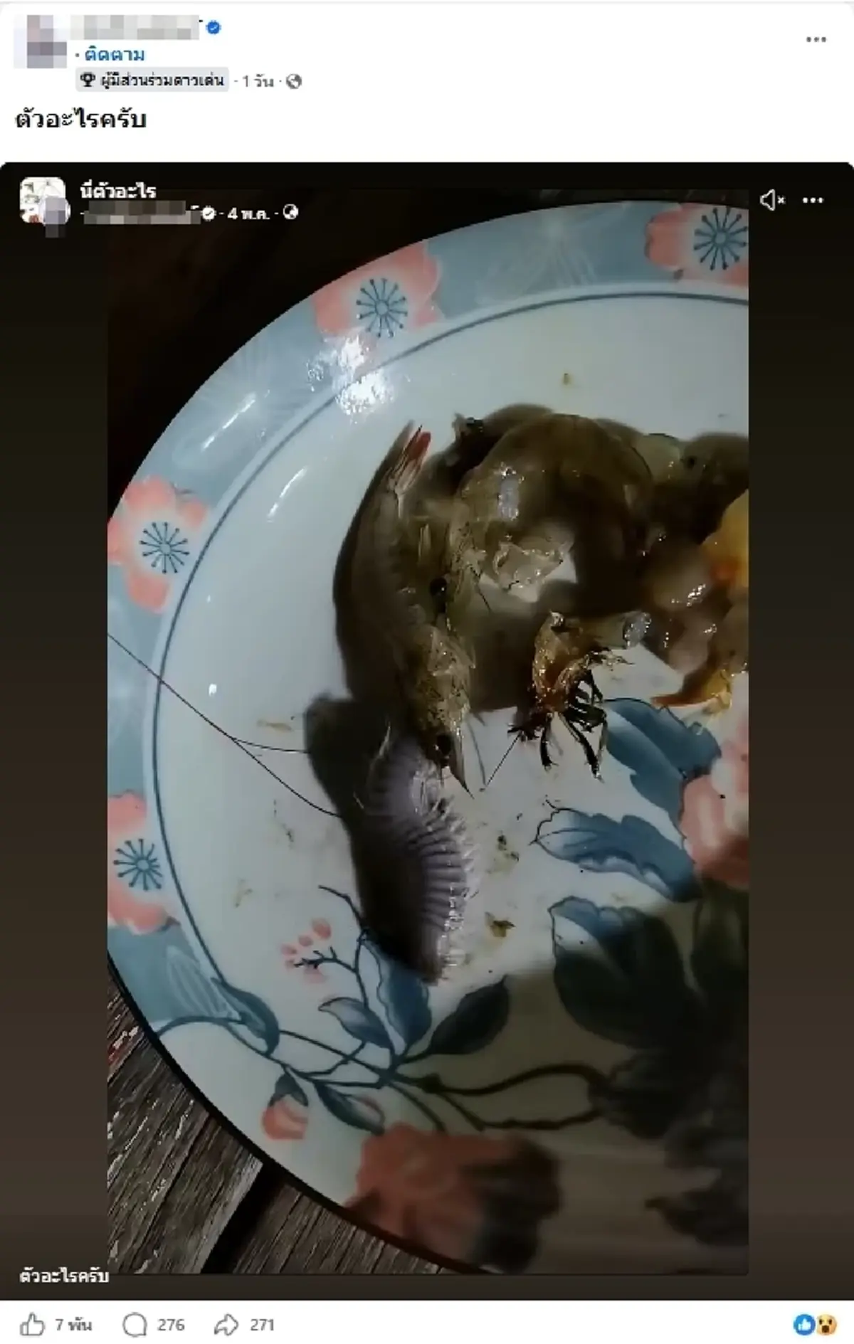 รู้แล้วตัวอะไร หนุ่มสงสัยตัวปริศนามากับกุ้ง เตือนมีพิษห้ามจับ