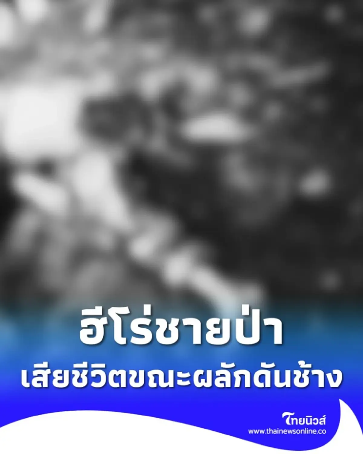 สลด! เจ้าหน้าที่พิทักษ์ป่าเขาอ่างฤาไน ถูกช้างป่าเหยียบดับ