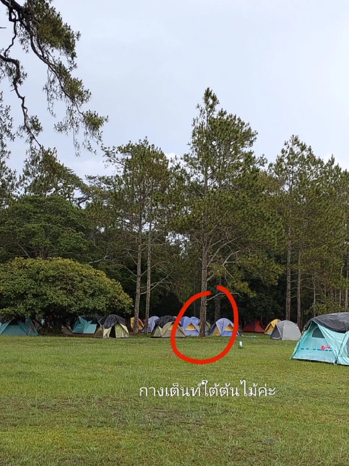 เตือนภัยภูกระดึง ผู้หญิงเที่ยวคนเดียวให้ระวัง นอนเต็นท์กลางดึก