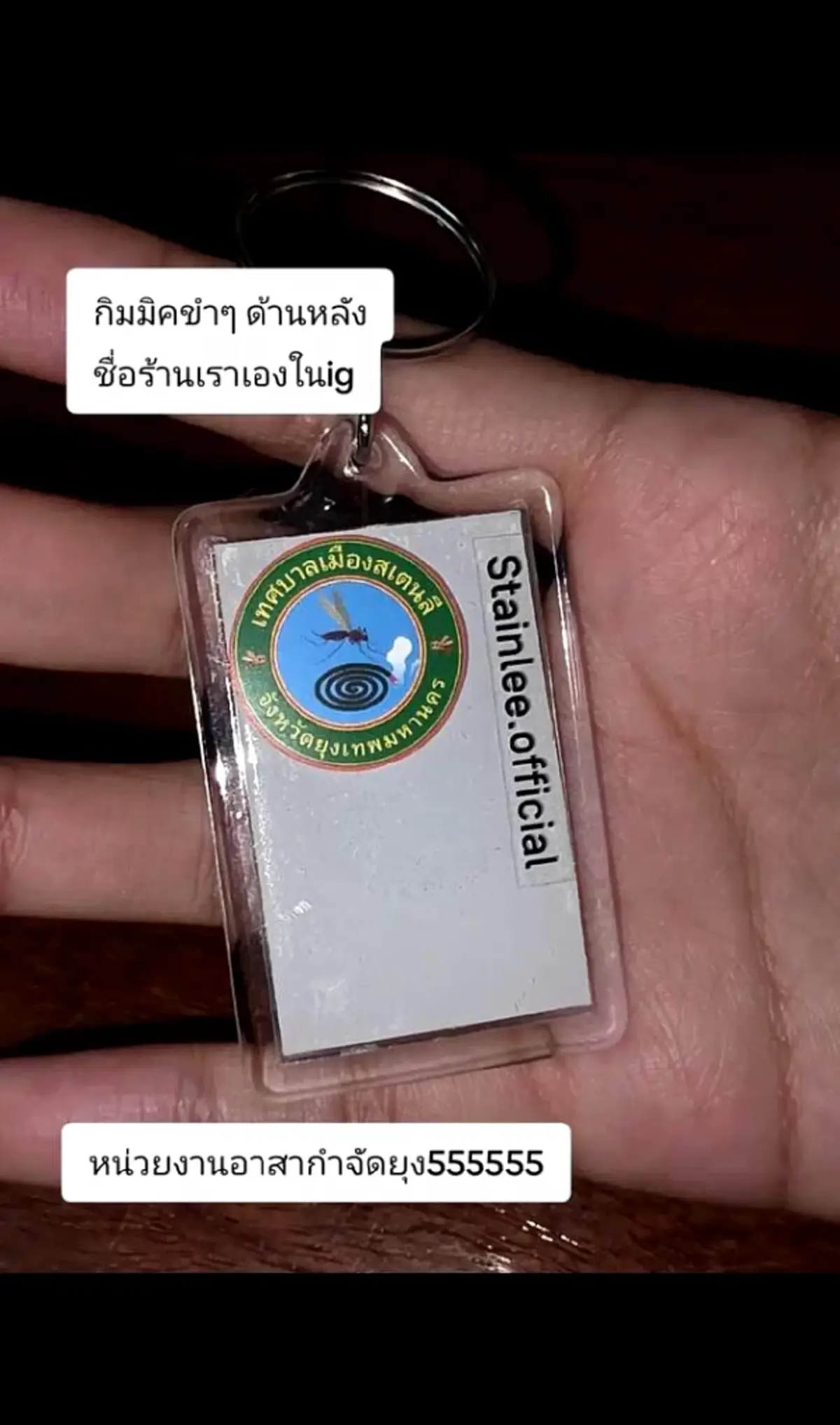สาวไทยเปลี่ยน “ตบยุง” เป็นธุรกิจ ขายซากยุง รายได้หลักหมื่น