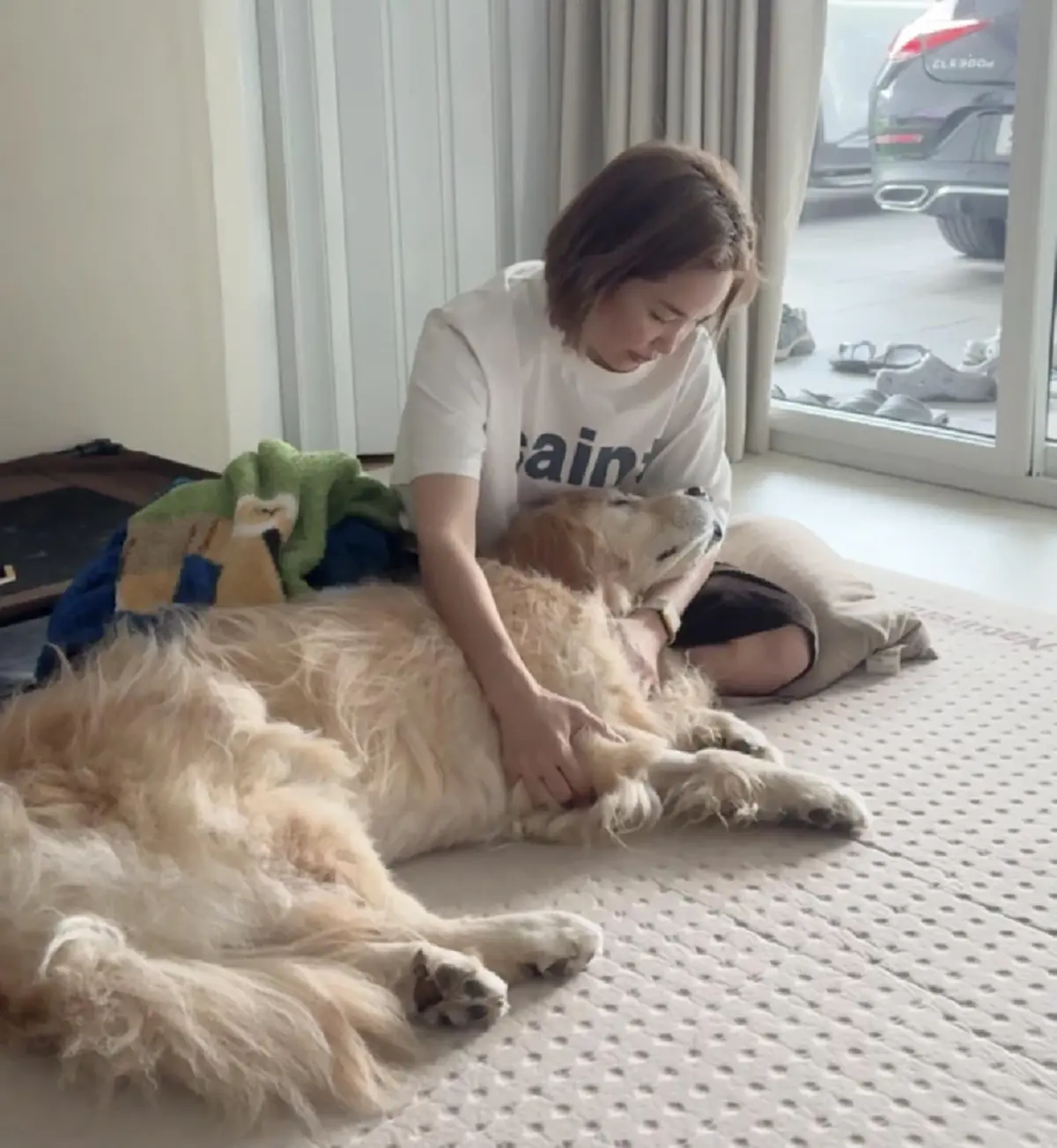 สุดอาลัย "เจได" จากบ้าน Japan and friends กลับดาวหมาแล้ว