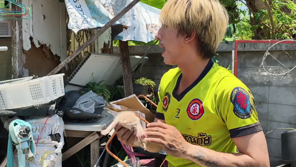 กู้ภัยช่วย 4 ลูกแมวติดใต้ท้องรถ เจ้าของรับเลี้ยงเชื่อมาให้โชค