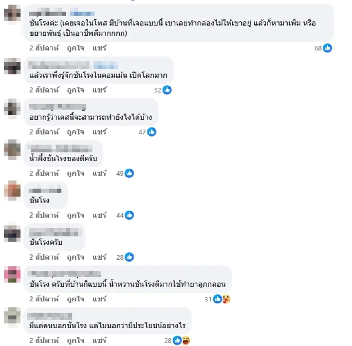 ตกใจ! เจอคราบปริศนาไหลย้อยจากกำแพง ก่อนรู้ความจริงว่านี่ของดี!