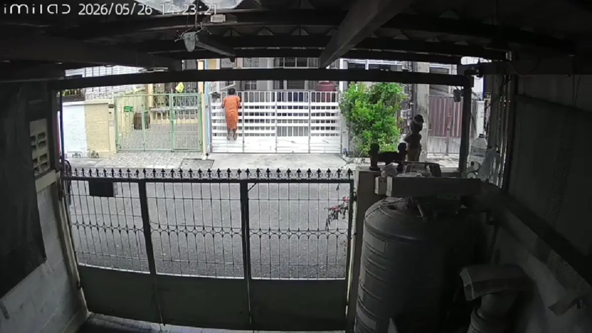 ป้านกพิราบเมินคำสั่งศาลปีนรั้วพังบ้านเพื่อนบ้านรอบ 3