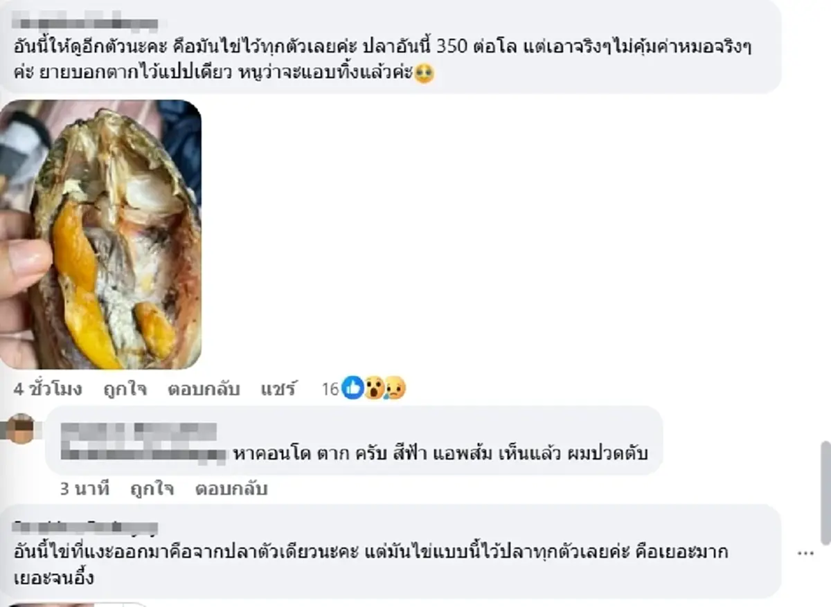 ถกสนั่น ปลาเค็มมีไข่แมลงวันทุกซอกทุกมุม ยายยืนยันทอดแล้วกินได้